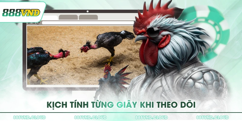 kich tinh tung giay khi theo doi